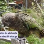 131060064.jpg