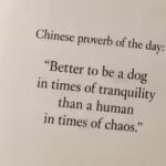 1778956834_chinese-proverb-of-the-day-ai-generated-image.jpg