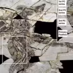 a-160-million-year-old-technicolour-dinosaur-fossil-discovered-in-china-with-four-wings-and-bird-lik.avif
