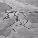 archaeopteryx_lithographica_fossil_bird_solnhofen_limestone_upper_jurassic_blumenberg_quarry_eichsta.avif