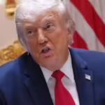 article-23.jpg