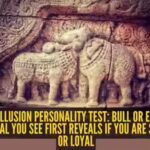 bull-elephant.jpg