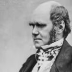 charles-darwin-image-wikipedia.jpg