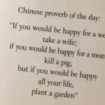 chinese-proverb-of-the-day-ai-generated-image.jpg