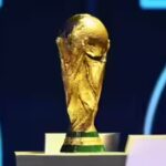 fifa-wc-1305s.jpg