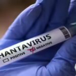 hantavirus.jpg