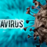hantavirus-alert_-french-cruise-passenger-placed-on-artificial-lung-support-as-outbreak-grows-to-11.avif