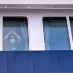 hantavirus-scare-on-cruise-ship.jpg
