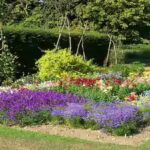 how-to-stop-a-sunny-garden-border-from-looking-washed-out-by-late-summer.jpg