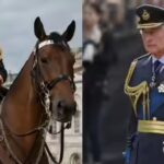 king-charles-shocked-by-soldiers-death.jpg