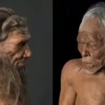 neanderthals-vs-homo-sapiens-what-separated-modern-humans-from-their-ancient-cousins.jpg