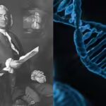 scientists-reveal-more-than-13-million-people-may-share-dna-with-marylands-earliest-colonists.jpg