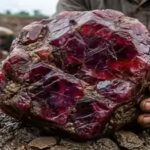 the-giant-ruby-discovered-in-myanmar-is-already-sparking-global-attention.jpg