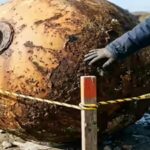 the-object-was-a-buoy.jpg