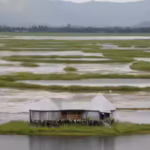 this-mysterious-floating-lake-with-circular-islands-in-india-is-also-home-to-one-of-the-worlds-longe.avif
