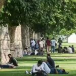 trees-cut-extra-city-heat-by-half-but-not-quite-where-most-needed.jpg