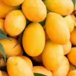 what-is-the-ideal-storage-temperature-to-make-mangoes-last-up-to-3-weeks-without-spoilage.jpg