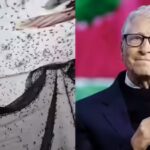 why-a-bill-gates-backed-insect-factory-releases-30-million-mosquitoes-every-week.jpg