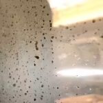 window-condensation.jpg
