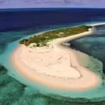 10-largest-island-countries-in-the-world-indonesia-japan-papua-new-guinea-among-the-biggest-island-n.avif