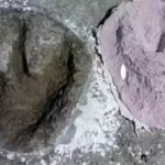 166-million-year-old-jurassic-dinosaur-highway-discovered-beneath-a-british-quarry.jpg