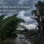 1781807685_proverb-of-the-day-image-generated-via-google-gemini.jpg