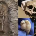 400-year-old-burial-in-finland-uncovers-a-man-whose-bones-dna-and-teeth-tell-conflicting-stories.jpg