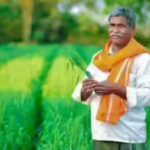a-farmer-standing-in-the-field-file-photo.jpg