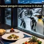 an-unusual-penguin-experience-in-dubai.jpg