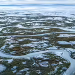 arctic-alarm-earth39s-frozen-carbon-stores-in-the-arctic-may-stop-absorbing-co2-and-start-releasing.avif