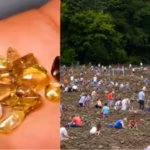 at-this-us-park-visitors-have-found-over-37000-diamonds-since-1972-and-can-keep-every-gem-they-disco.avif