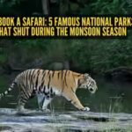 before-you-book-a-safari-5-famous-national-parks-in-india-that-shut-during-the-monsoon-season.jpg