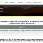 bsf-constable-tradesman-result-2025-released-pet-pst-qualifiers-move-to-recruitment-written-exam.jpg