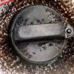 e20-petrol-attracts-ants-bpcl-responds-to-viral-claim-explains-matter.jpg