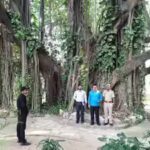 f39c6cf6-e882-4052-a37b-f35b88d273c0_the_banyan_tree_on_itc_campus_in_munger_jpg.jpg