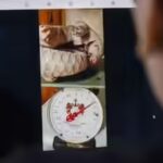 facebook-marketplace-wildlife-trafficking-market.jpg