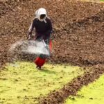 fertiliser-ap-farmjpg.jpg