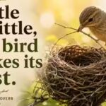 french-proverb.jpg