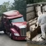 honey-havoc-24-million-honeybees-escape-after-18-wheeler-overturns-forcing-texas-neighbourhood-into.avif