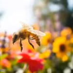 honeybees-just-helped-scientists-build-tiny-drones-that-navigate-without-gps-and-find-their-way-home.avif