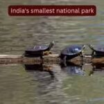 india39s-smallest-national-park.jpg