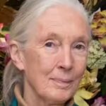 jane-goodall-image-wikipedia.jpg