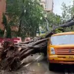 mumbai-bus-accident.jpg