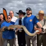 officials-and-participants-display-a-burmese-python-during-the-launch-of-the-2026-florida-python-cha.avif