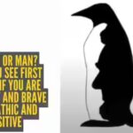 penguin.jpg
