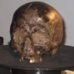 scientists-found-a-2600-year-old-brain-inside-an-iron-age-skull-and-it-was-still-intact.jpg