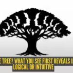 trees.jpg