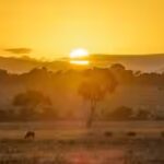 10-wild-animals-that-make-the-masai-mara-one-of-africa39s-greatest-safari-destinations.jpg