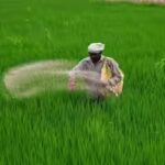 15-fertiliser-cargo-vessels-cross-strait-of-hormuz-safely-amid-middle-east-conflict.jpg