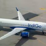 1784916052_indigo.jpg